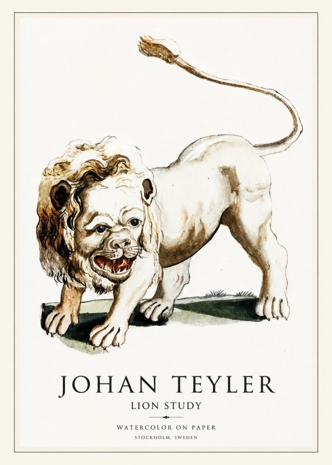 Johan Teyler Lion Study No1 - Juliste