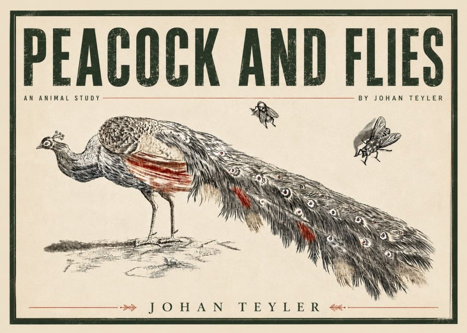 Johan Teyler Peacock and Flies - Animal Study No5 - Juliste