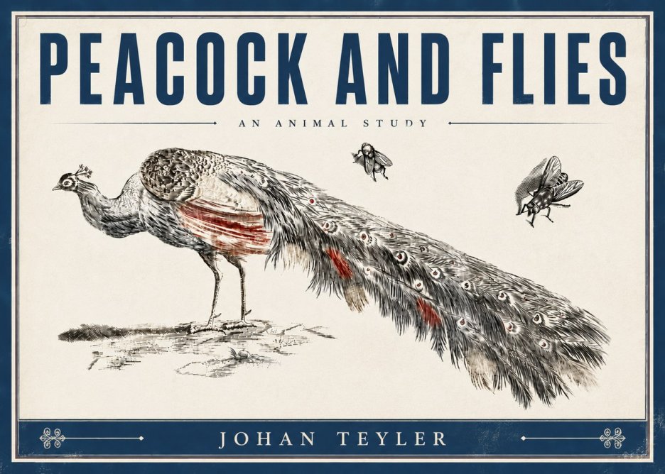 Johan Teyler Peacock and Flies - Animal Study No6 - Juliste