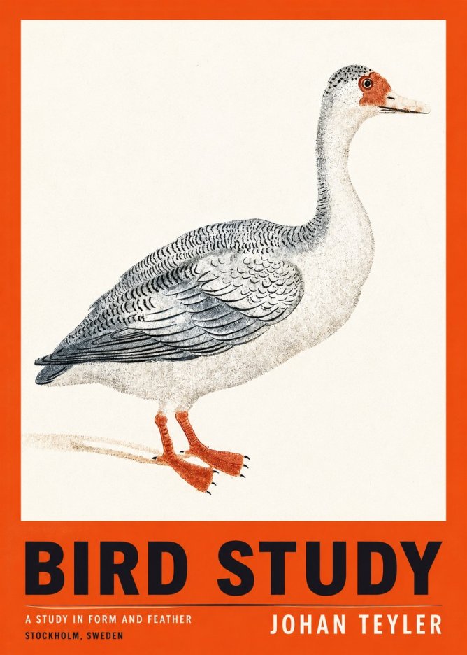 Johan Teyler Goose Study No3 - Juliste