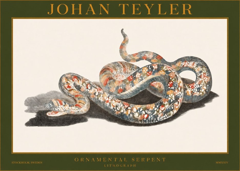 Johan Teyler Ornamental Serpent No1 - Juliste
