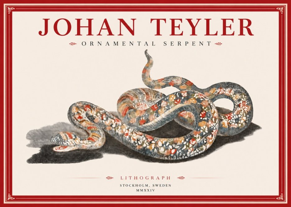 Johan Teyler Ornamental Serpent No3 - Juliste