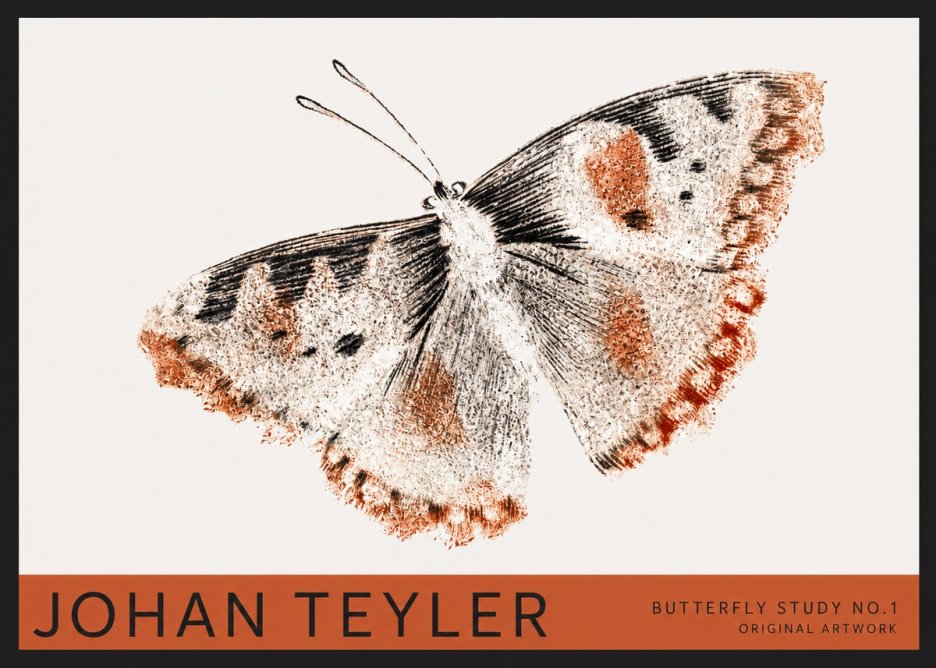 Johan Teyler Butterfly Study No.1 No2 - Juliste
