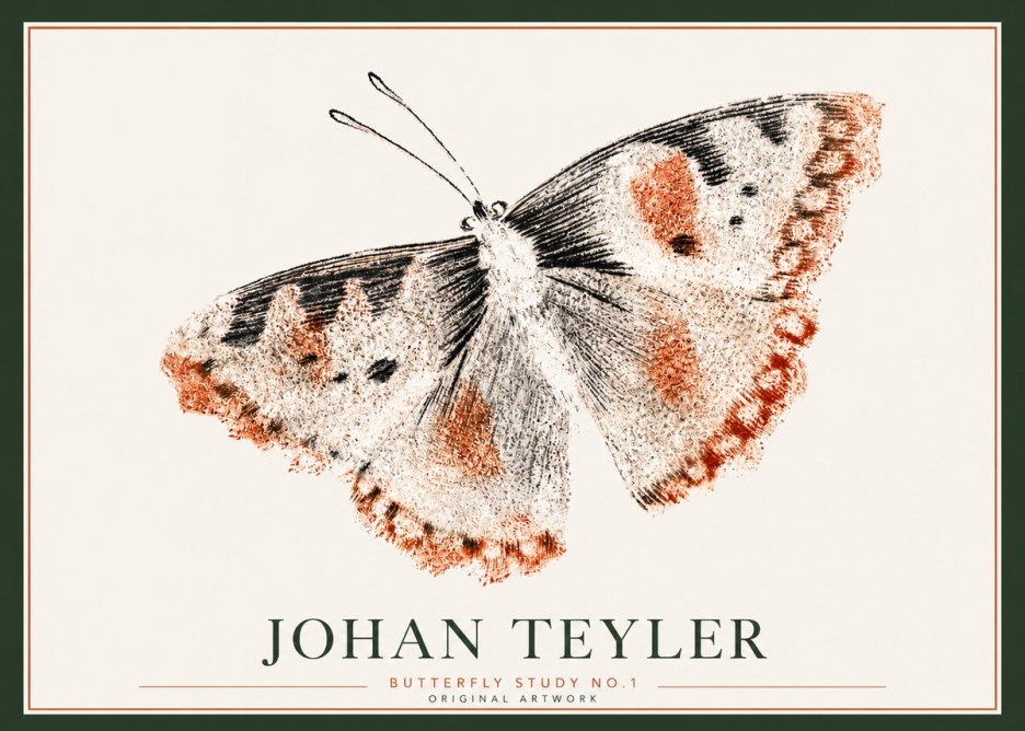 Johan Teyler Butterfly Study No.1 No3 - Juliste
