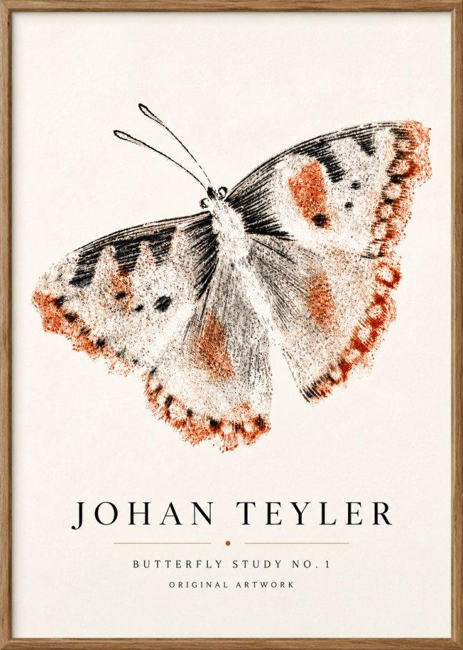 Johan Teyler Butterfly Study No.1 No5 - Juliste