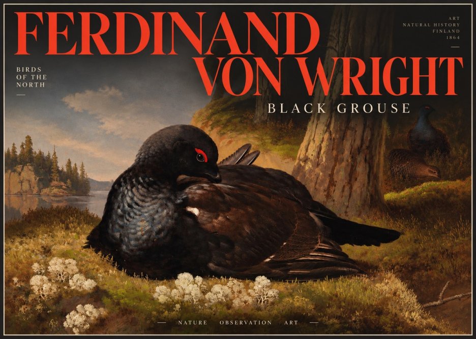 Ferdinand von Wright The Black Grouse No4 - Juliste