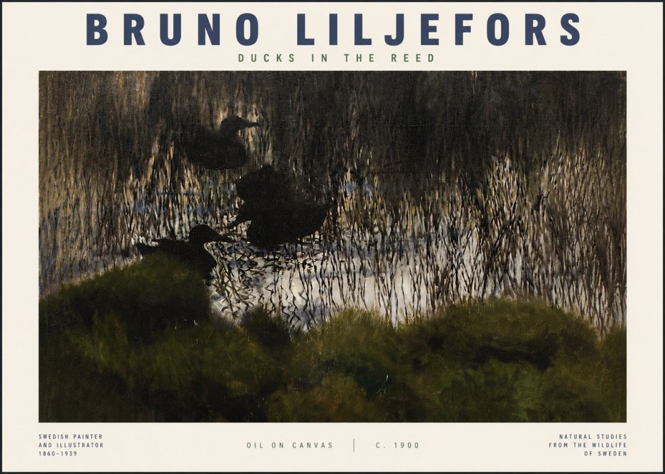 Bruno Liljefors Ducks in the Reed No4 - Juliste