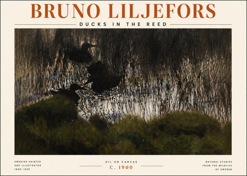 Bruno Liljefors Ducks in the Reed No5 - Juliste