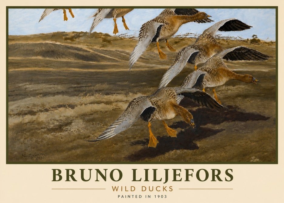 Bruno Liljefors Wild Ducks I No6 - Juliste