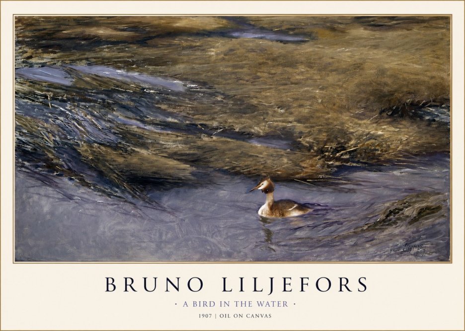 Bruno Liljefors A Bird in the Water No1 - Juliste
