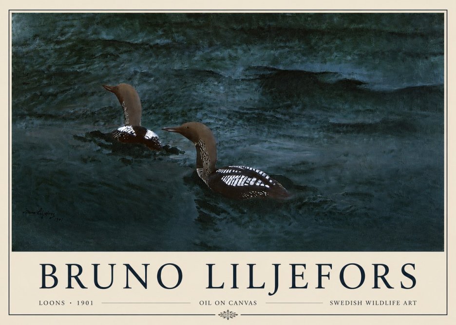 Bruno Liljefors Loons · 1901 No3 - Juliste