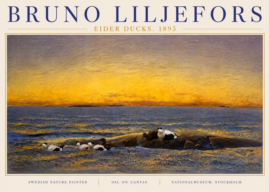 Bruno Liljefors Eider Ducks. 1895 No6 - Juliste