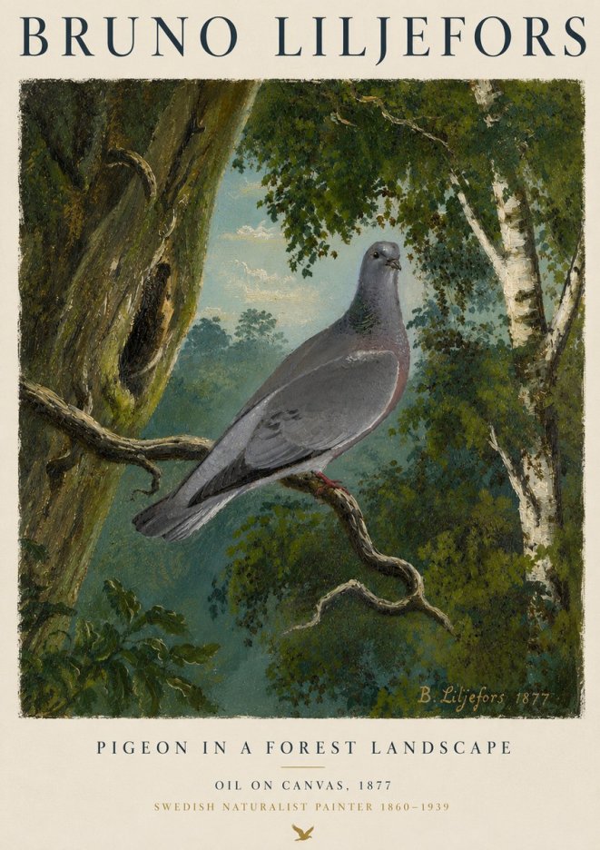 Bruno Liljefors Pigeon in a Forest Landscape No4 - Juliste