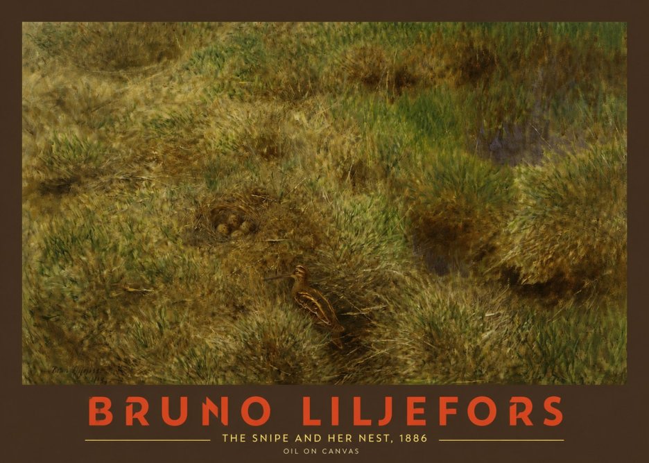 Bruno Liljefors The Snipe and Her Nest No2 - Juliste