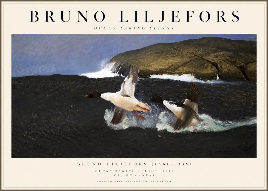Bruno Liljefors Ducks Taking Flight No1 - Juliste
