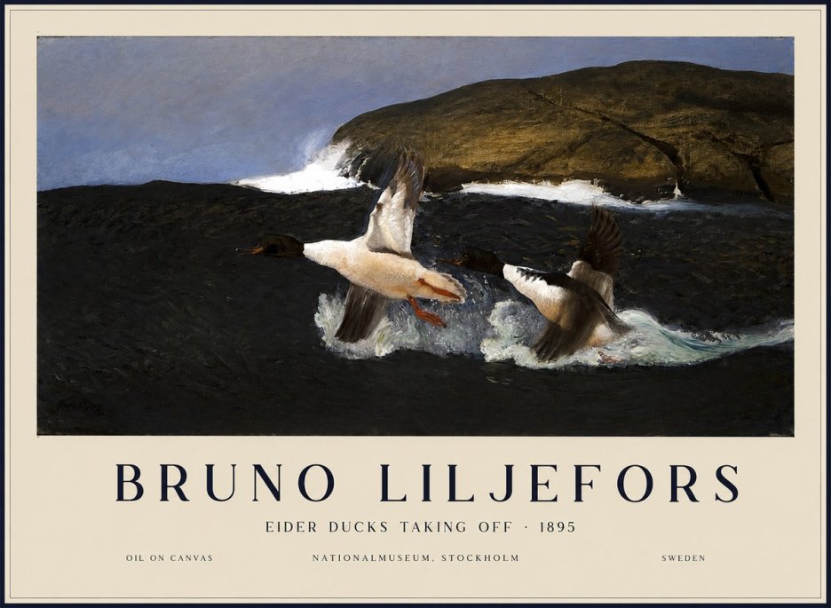 Bruno Liljefors Ducks Taking Flight No3 - Juliste
