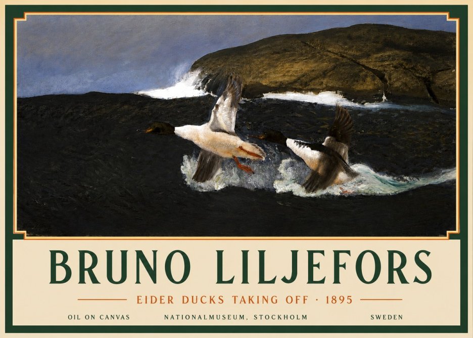 Bruno Liljefors Ducks Taking Flight No5 - Juliste