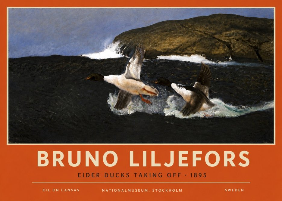 Bruno Liljefors Ducks Taking Flight No6 - Juliste
