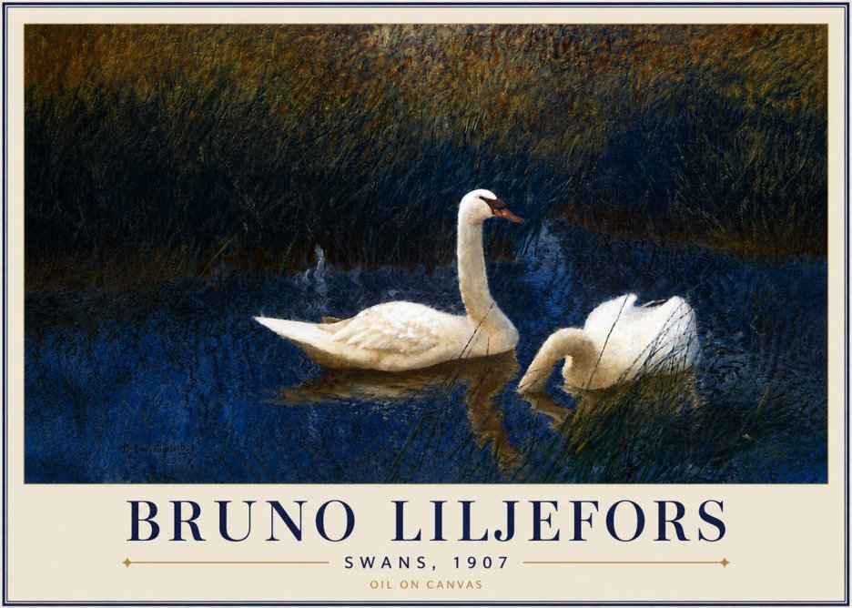 Bruno Liljefors Swans, 1907 No5 - Juliste