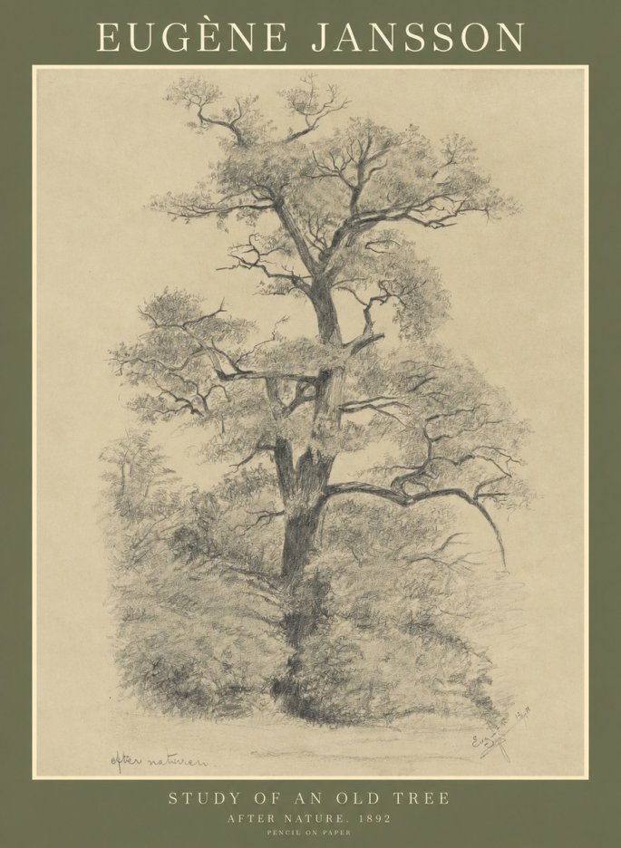 Eugène Jansson Study of an Old Tree No1 - Juliste