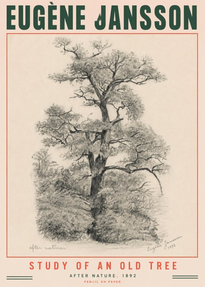 Eugène Jansson Study of an Old Tree No3 - Juliste
