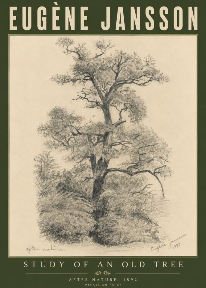 Eugène Jansson Study of an Old Tree No6 - Juliste