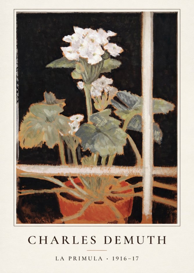 Charles Demuth La Primula No4 - Juliste