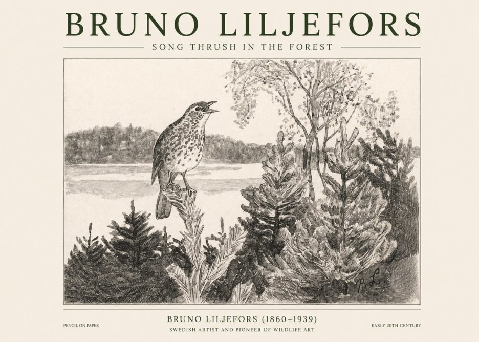 Bruno Liljefors Song Thrush in the Forest No1 - Juliste