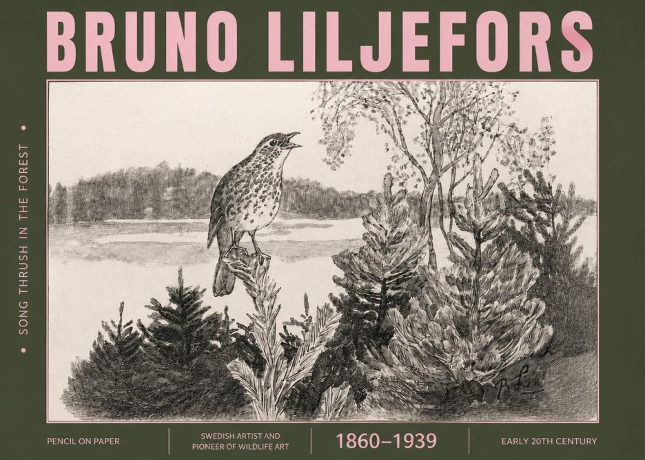 Bruno Liljefors Song Thrush in the Forest No4 - Juliste