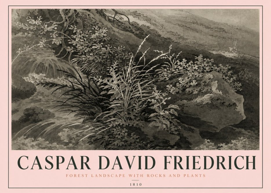 Caspar David Friedrich Forest Landscape with Rocks and Plants No4 - Juliste