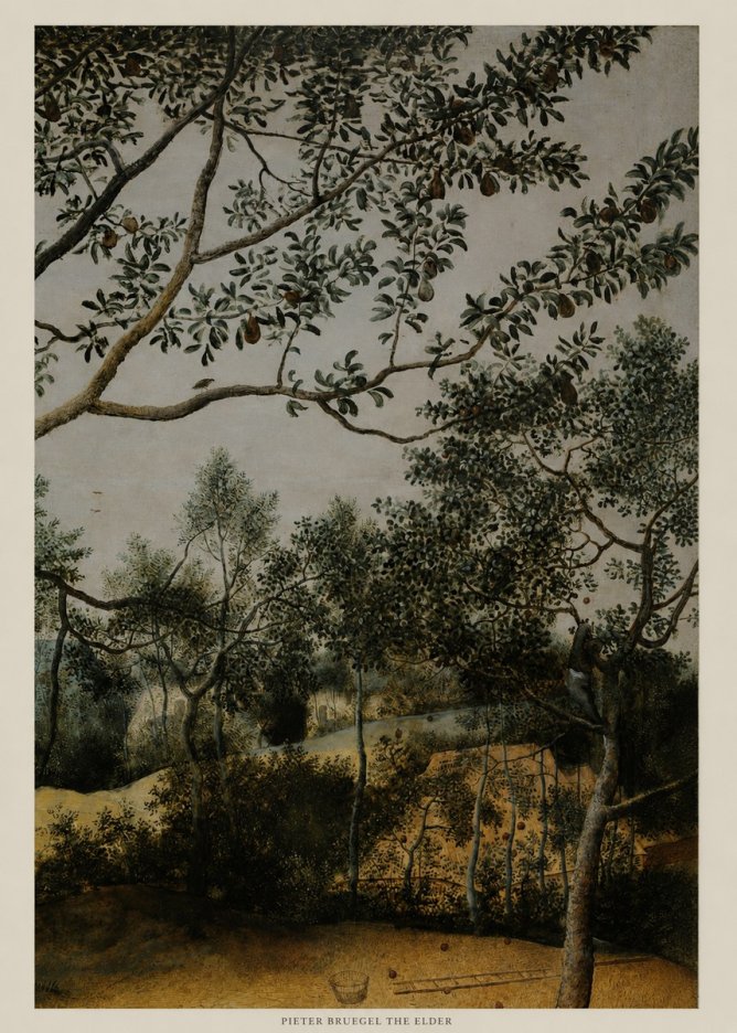 Pieter Bruegel Branch of a Pear Tree No5 - Juliste