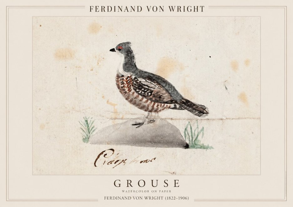 Ferdinand von Wright Grouse No1 - Juliste