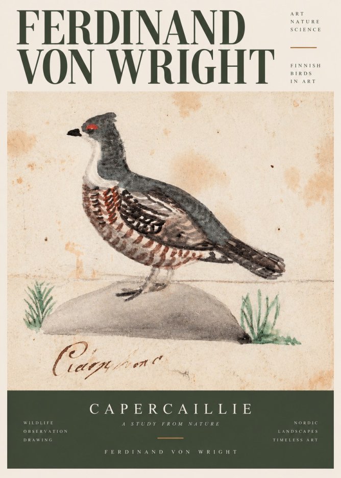 Ferdinand von Wright Grouse No3 - Juliste