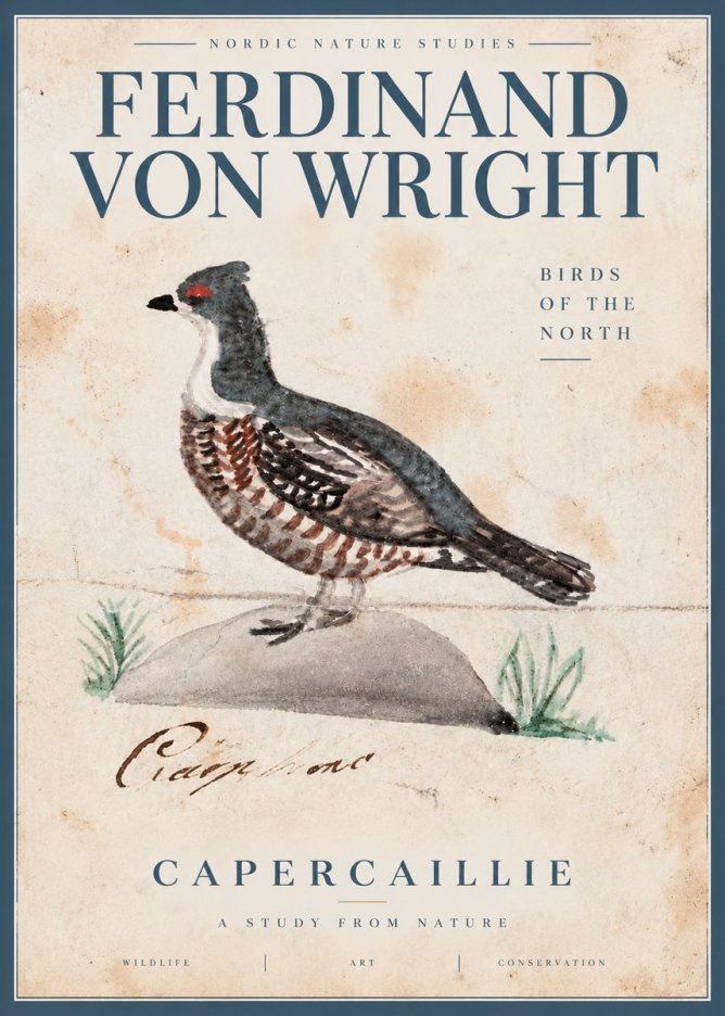 Ferdinand von Wright Grouse No5 - Juliste