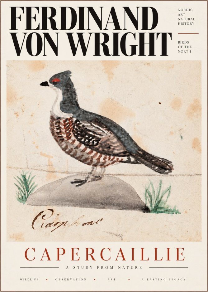 Ferdinand von Wright Grouse No6 - Juliste