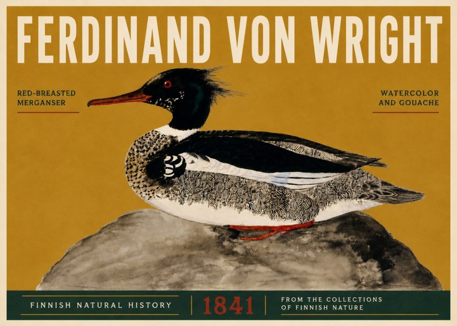 Ferdinand von Wright Red-breasted Merganser No5 - Juliste