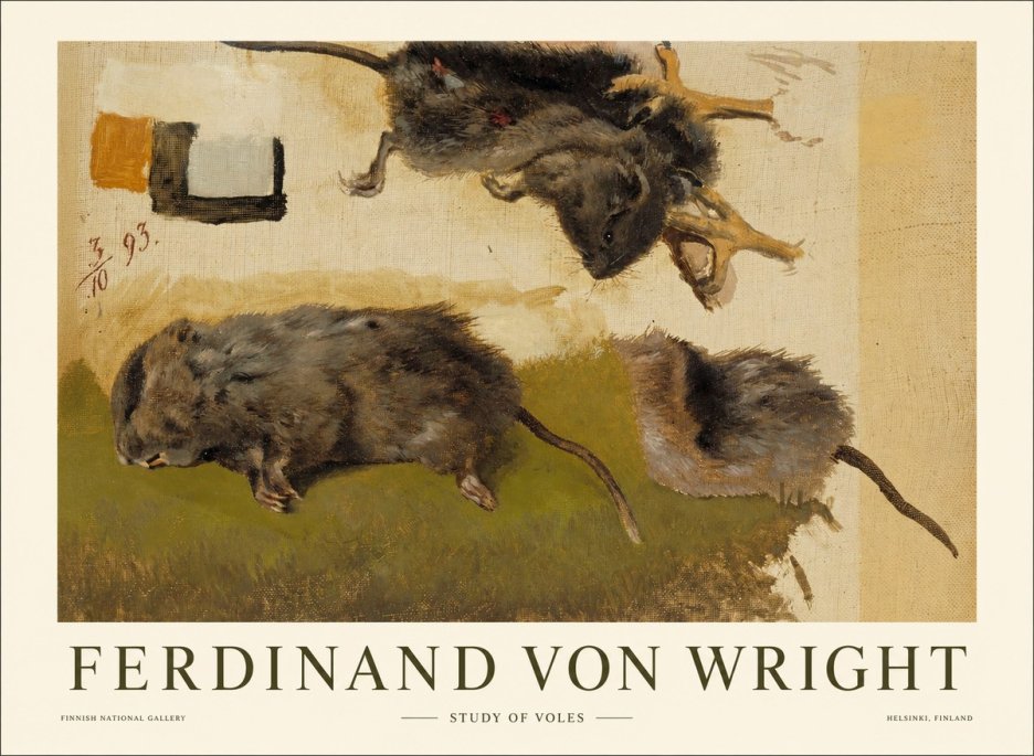 Ferdinand von Wright Studies of Lemmings No2 - Juliste
