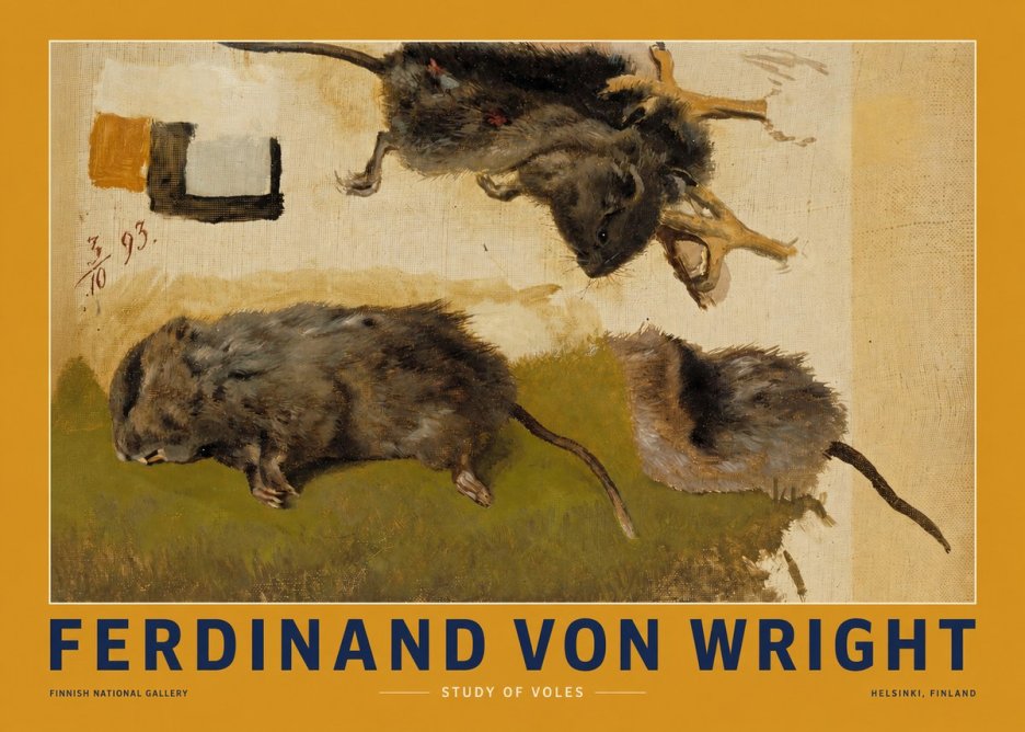 Ferdinand von Wright Studies of Lemmings No3 - Juliste