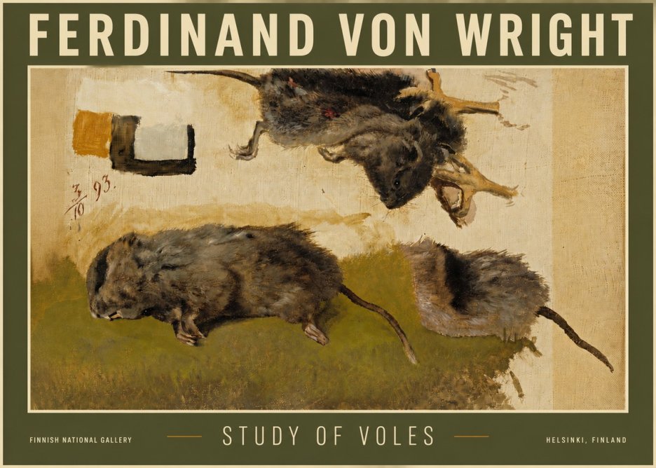 Ferdinand von Wright Studies of Lemmings No6 - Juliste