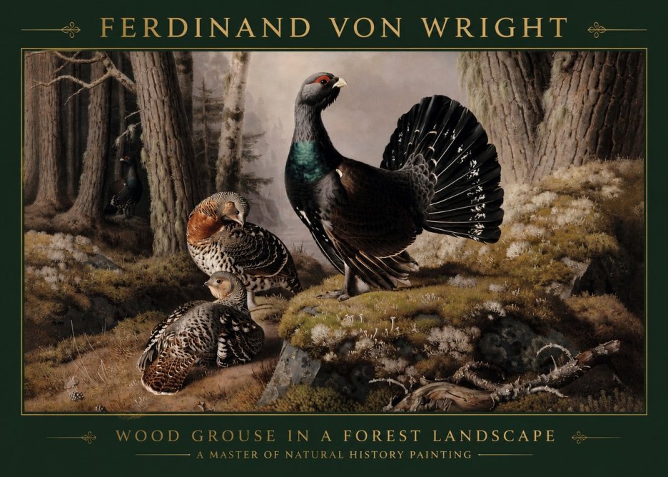 Ferdinand von Wright Wood Grouse in a Forest Landscape No3 - Juliste