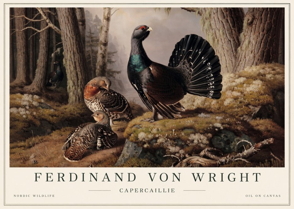 Ferdinand von Wright Wood Grouse in a Forest Landscape No5 - Juliste