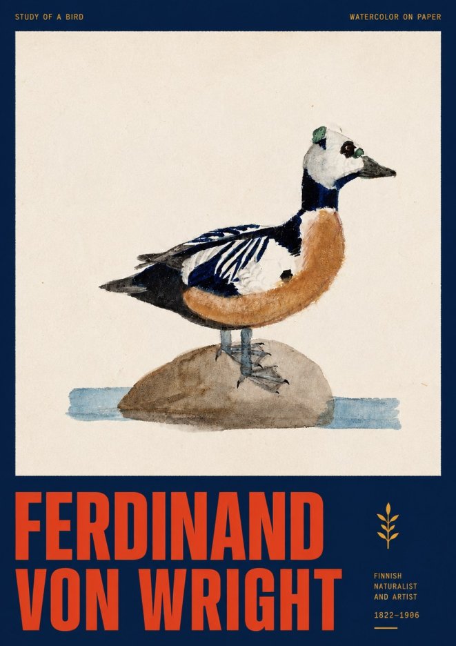 Ferdinand von Wright Study of a Bird No2 - Juliste
