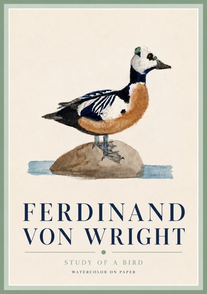 Ferdinand von Wright Study of a Bird No3 - Juliste
