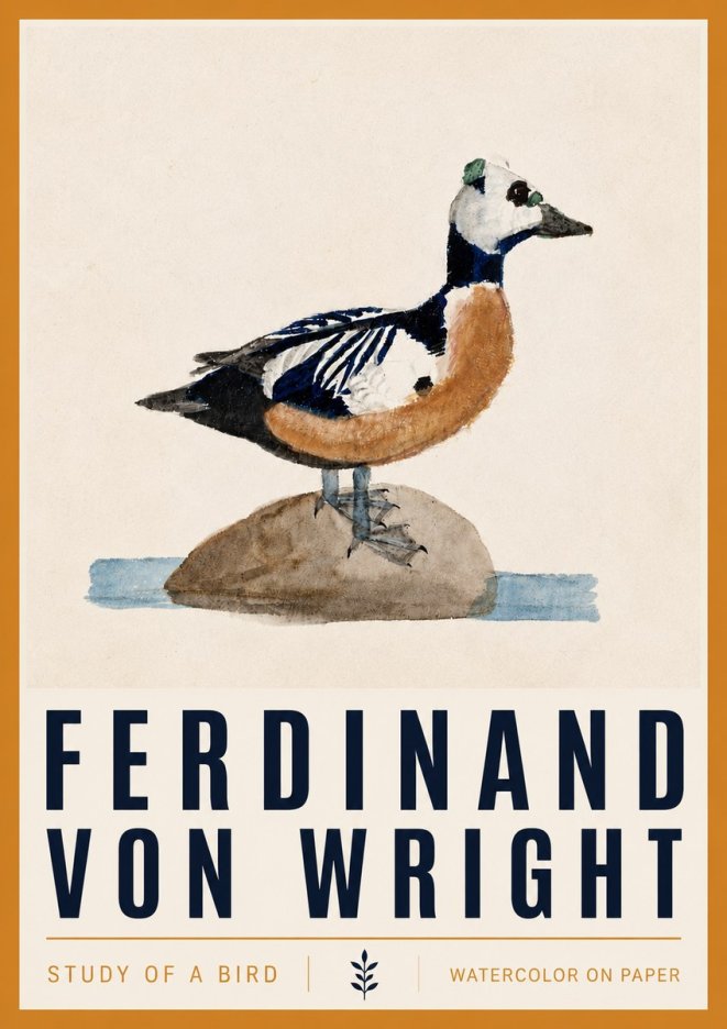Ferdinand von Wright Study of a Bird No4 - Juliste