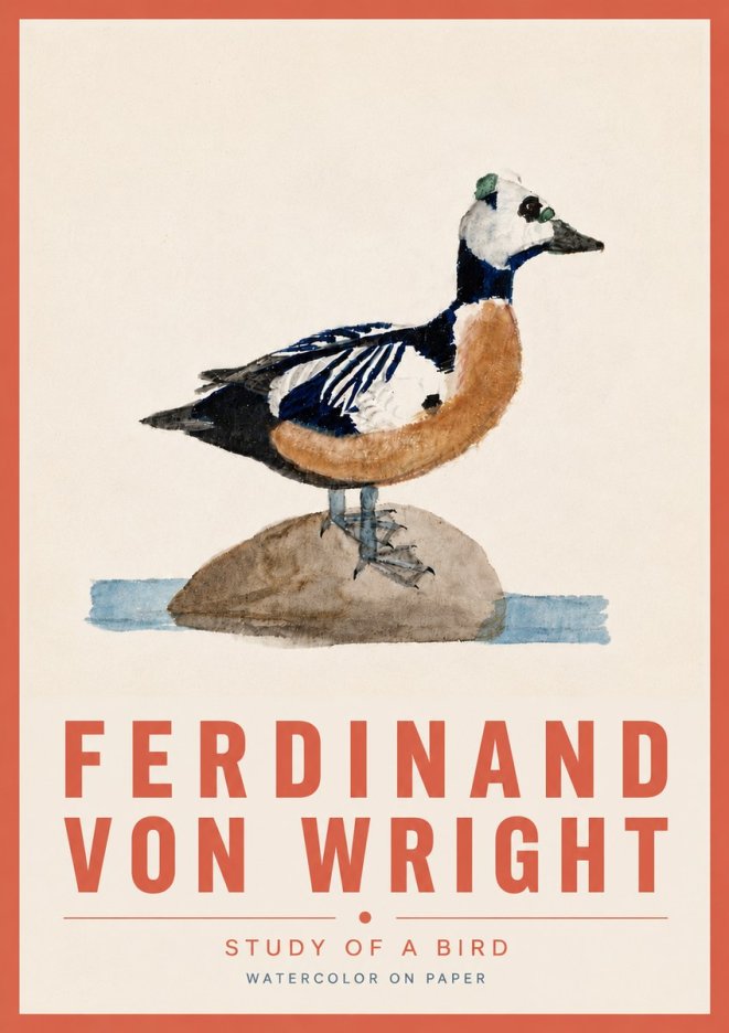 Ferdinand von Wright Study of a Bird No6 - Juliste