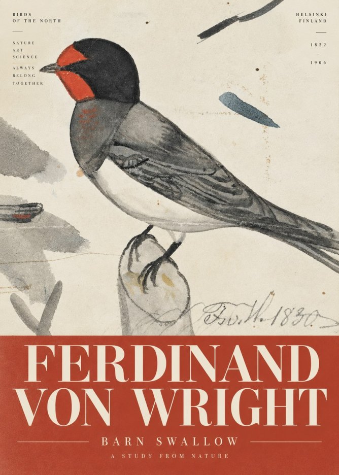 Ferdinand von Wright The Swallow No6 - Juliste