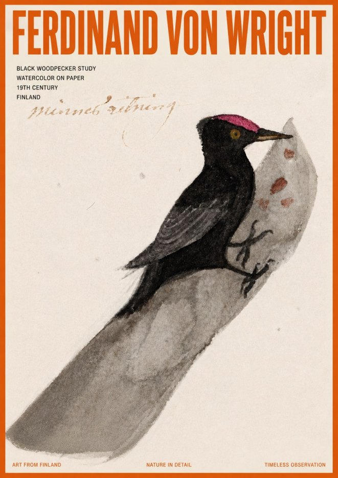 Ferdinand von Wright Black Woodpecker Study No5 - Juliste