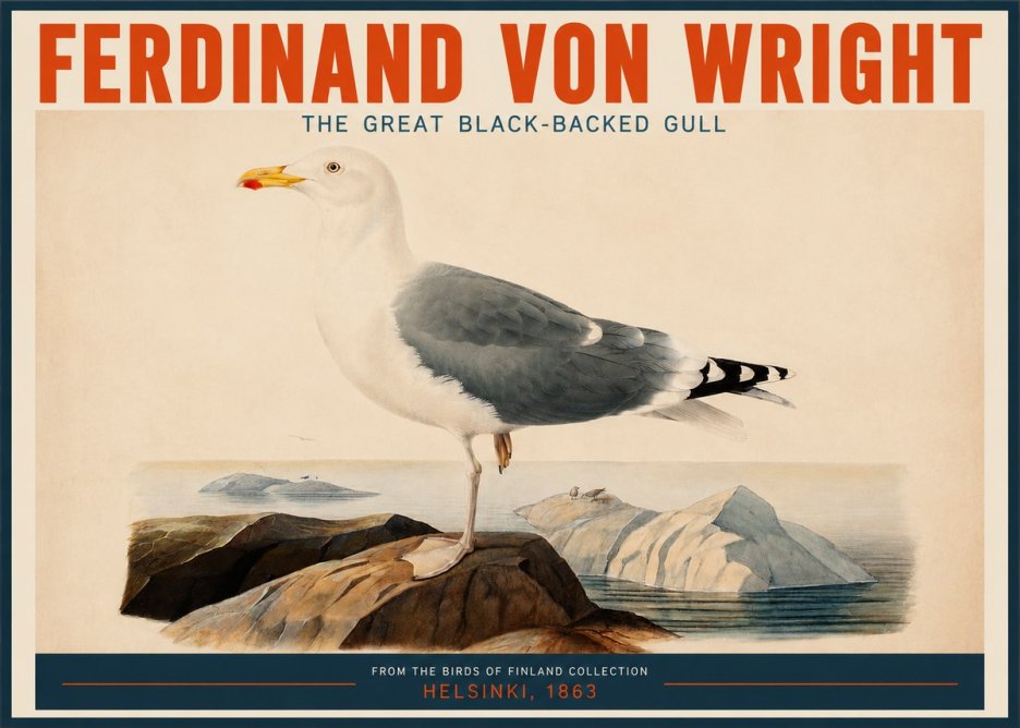 Ferdinand von Wright The Great Black-backed Gull No2 - Juliste