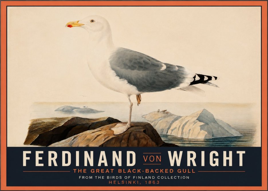 Ferdinand von Wright The Great Black-backed Gull No4 - Juliste