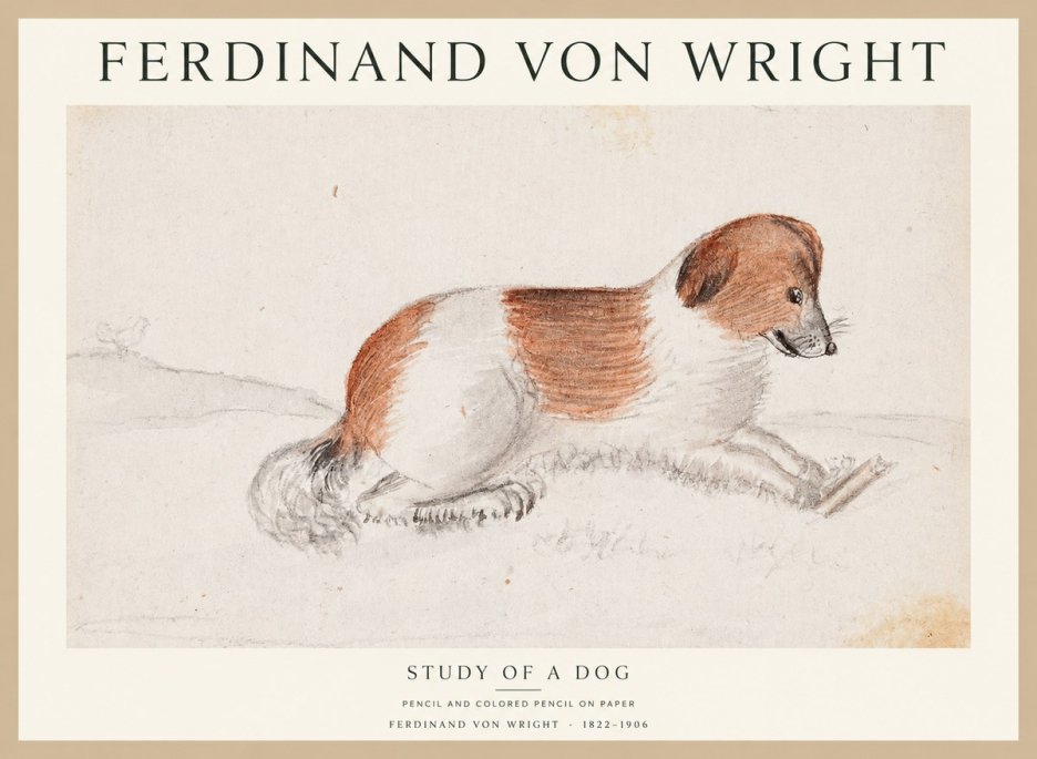 Ferdinand von Wright Study of a Dog No1 - Juliste